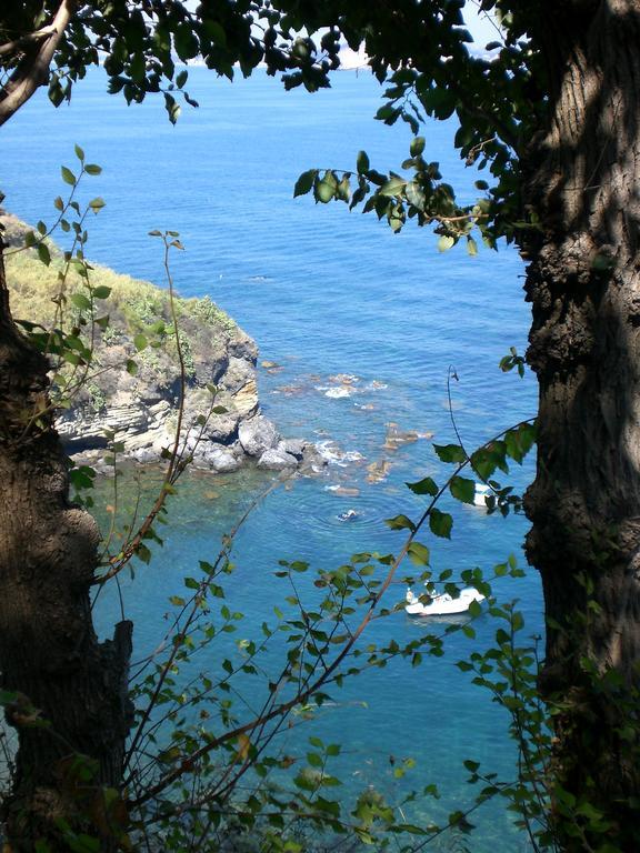Albergo 'La Vigna' Procida Luaran gambar