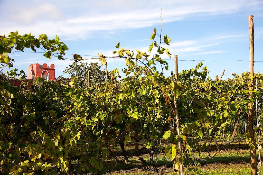 Albergo 'La Vigna' Procida Luaran gambar