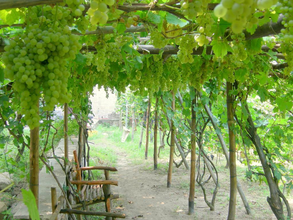 Albergo 'La Vigna' Procida Luaran gambar